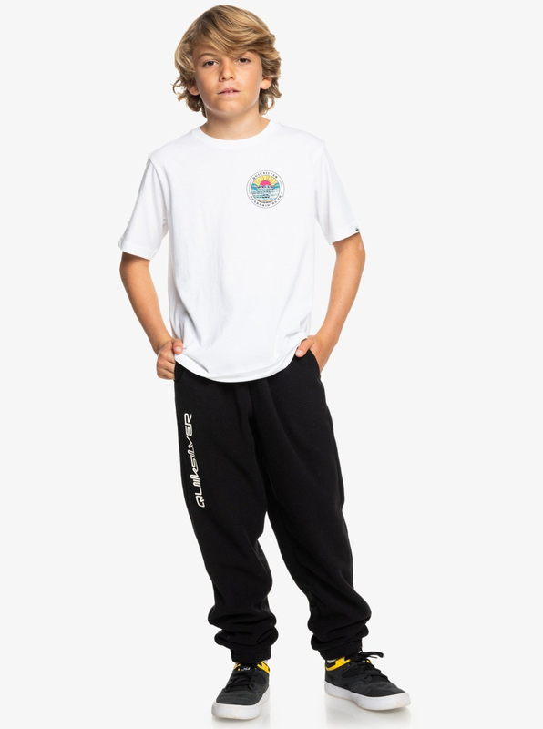 Quiksilver kids boys essential polar - elastic waist pants f image number null