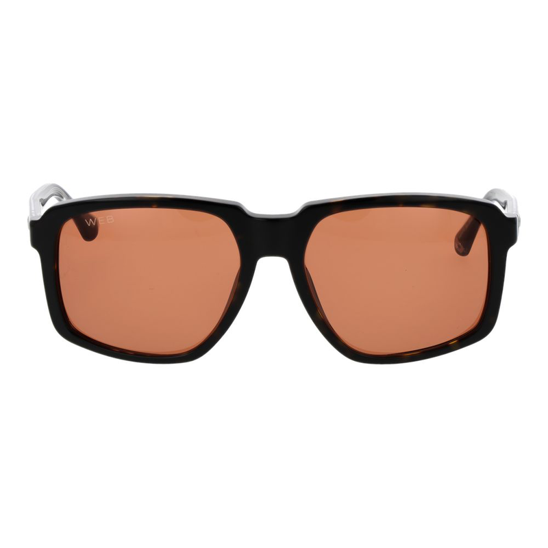 Brown acetate sunglasses-null