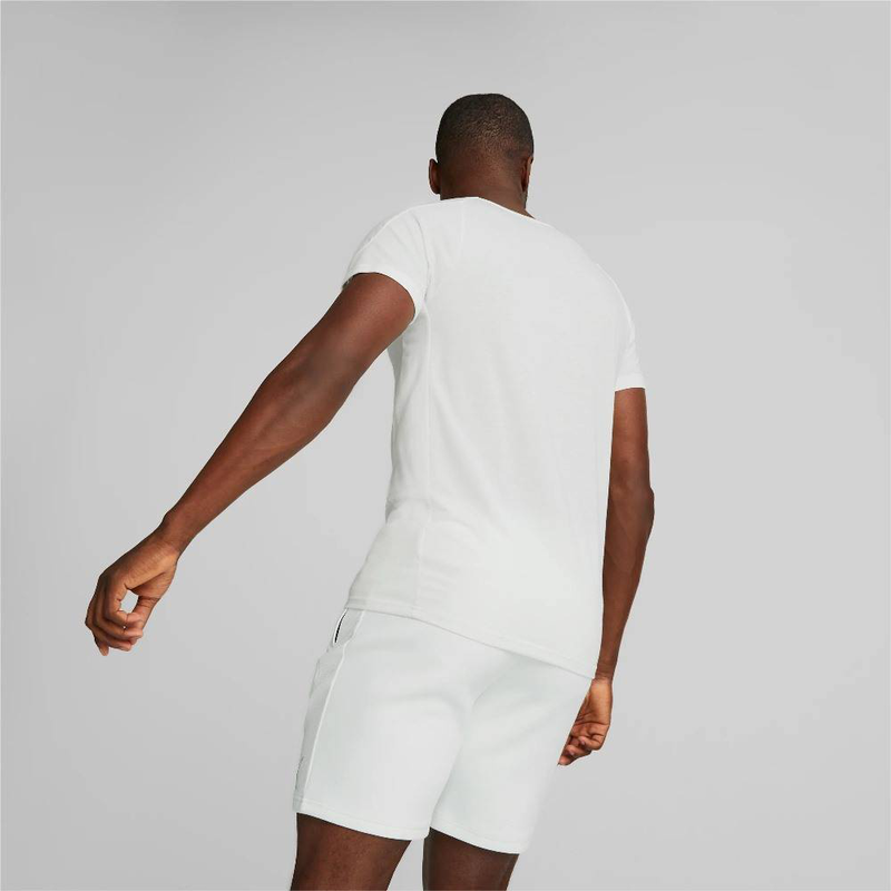 Evostripe mens t-shirt-null