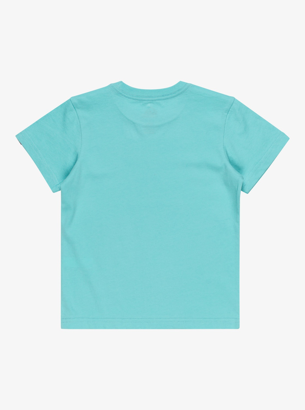 Quiksilver boy's tasty waves short sleeve t-shirt-null