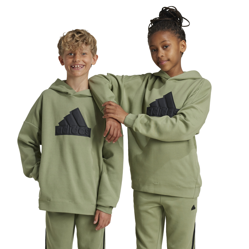 Product image: Adidas boys future icons logo hooded sweatshirt-null