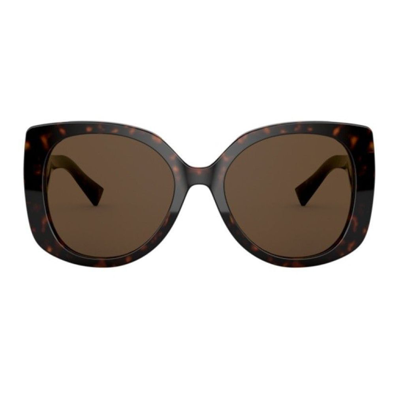 Brown acetate sunglasses-null