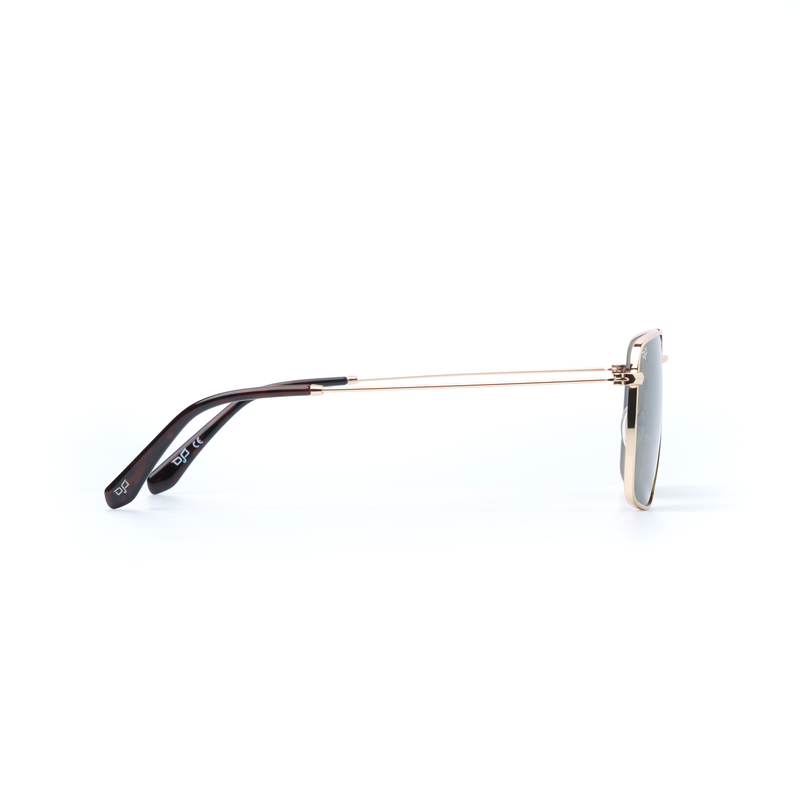 OJO sunglasses man square gold frame and temples with green lenses rx-null