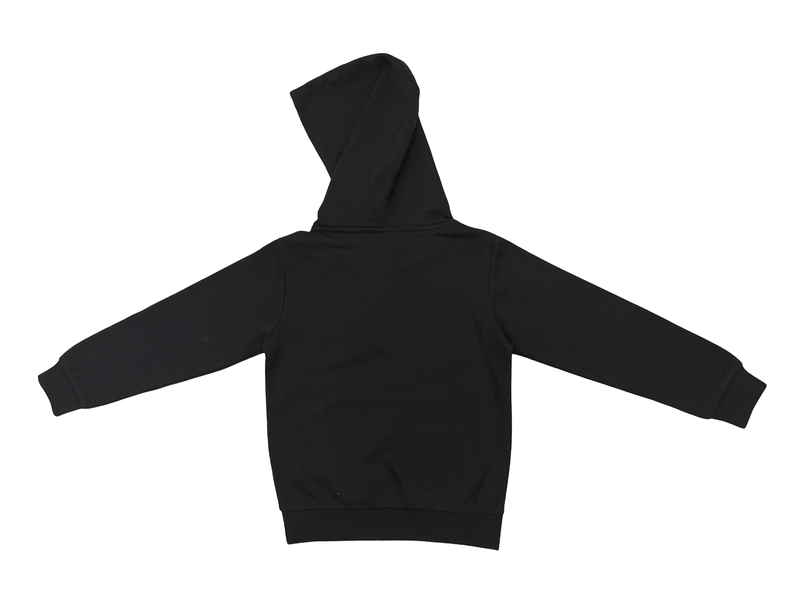 Champion boys hooded sweatshirt-null