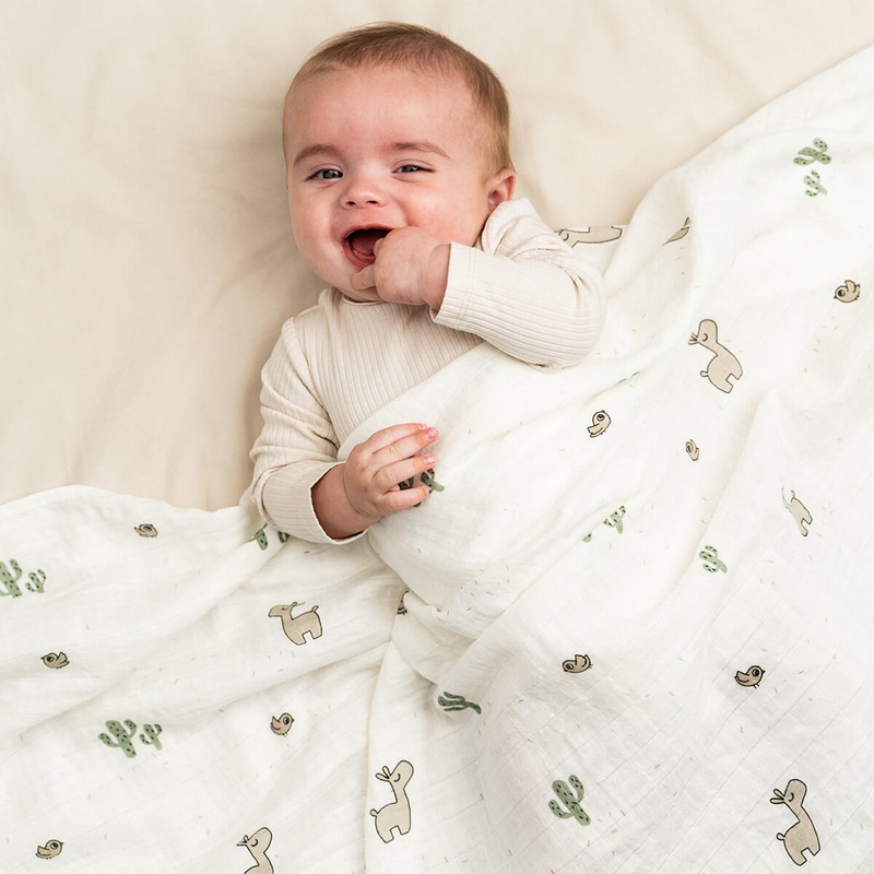 Done by deer swaddle lalee - sand-null