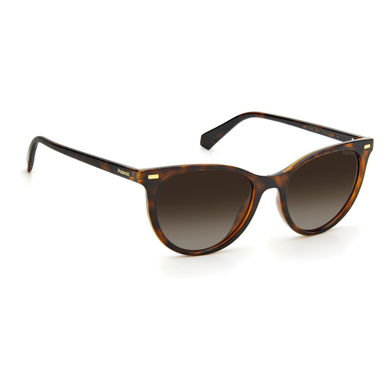 Brown resin sunglasses-null