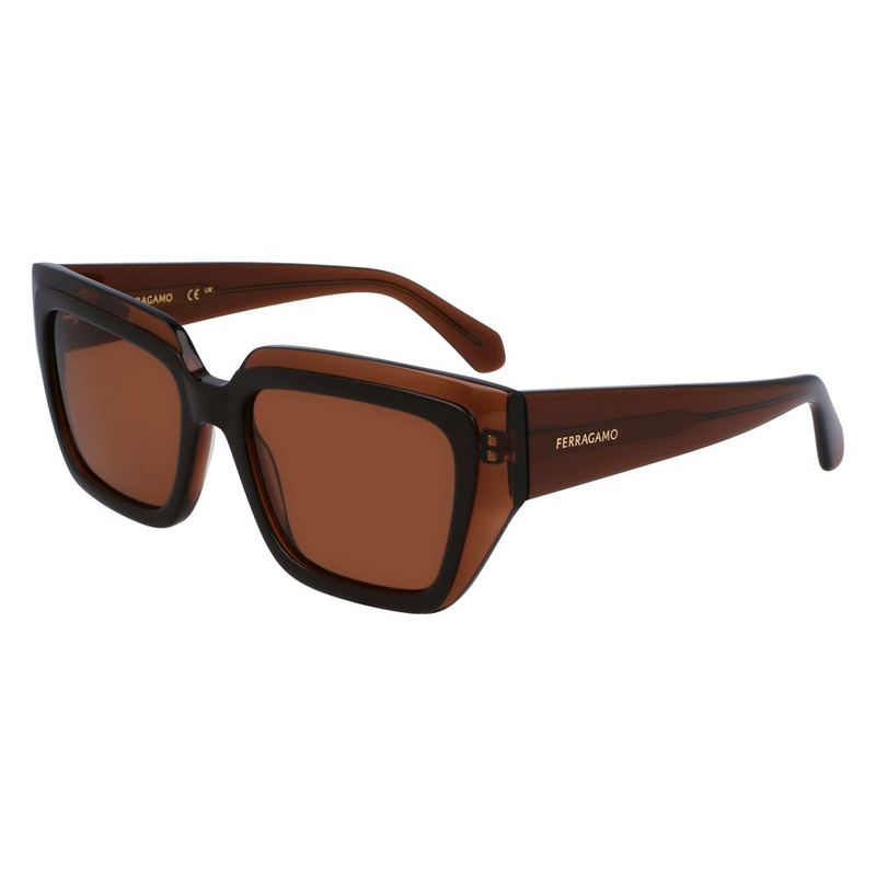 Brown acetate sunglasses-null
