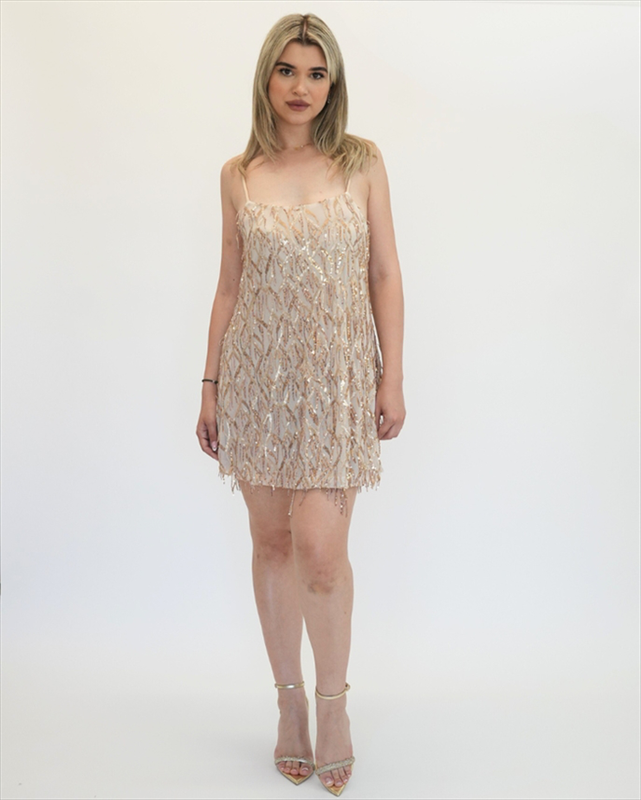 Silence las vegas mini dress ab4127-null