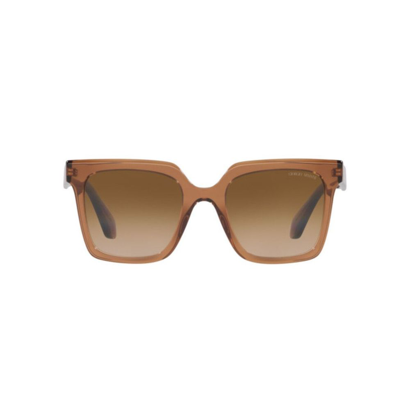 Brown acetate sunglasses-null