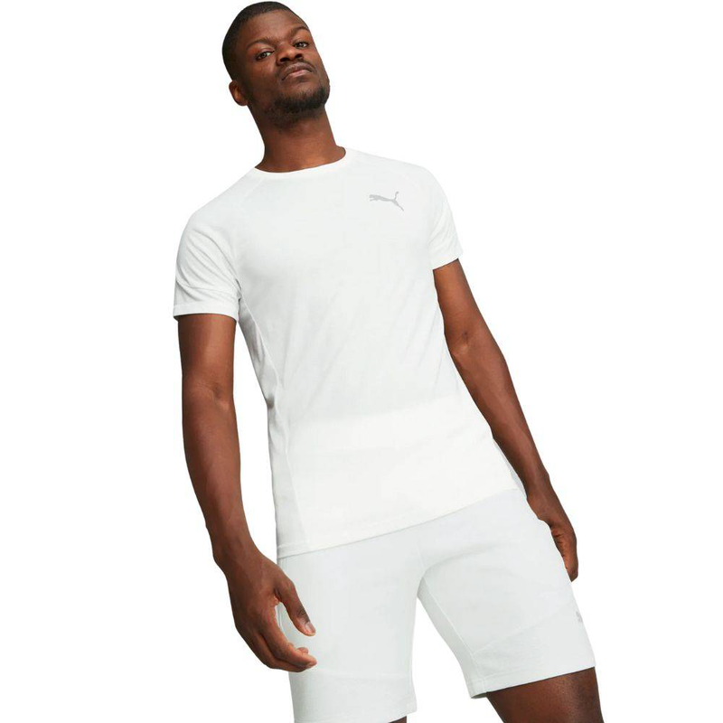 Evostripe mens t-shirt-null