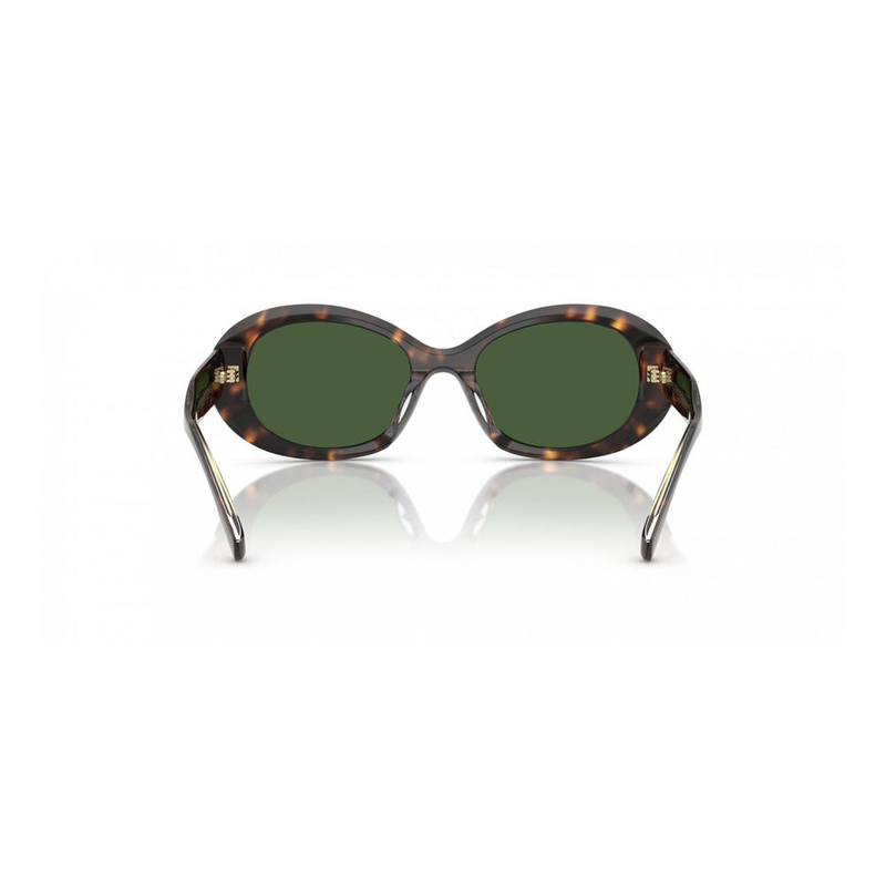 Brown acetate sunglasses-null
