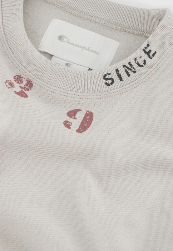 Champion rochester women crewneck sweatshirt-null