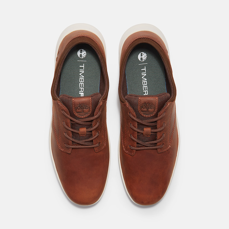 Parker street trainer for men in brown-null