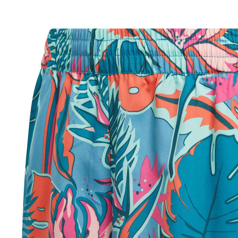 G aeroready wv short-null