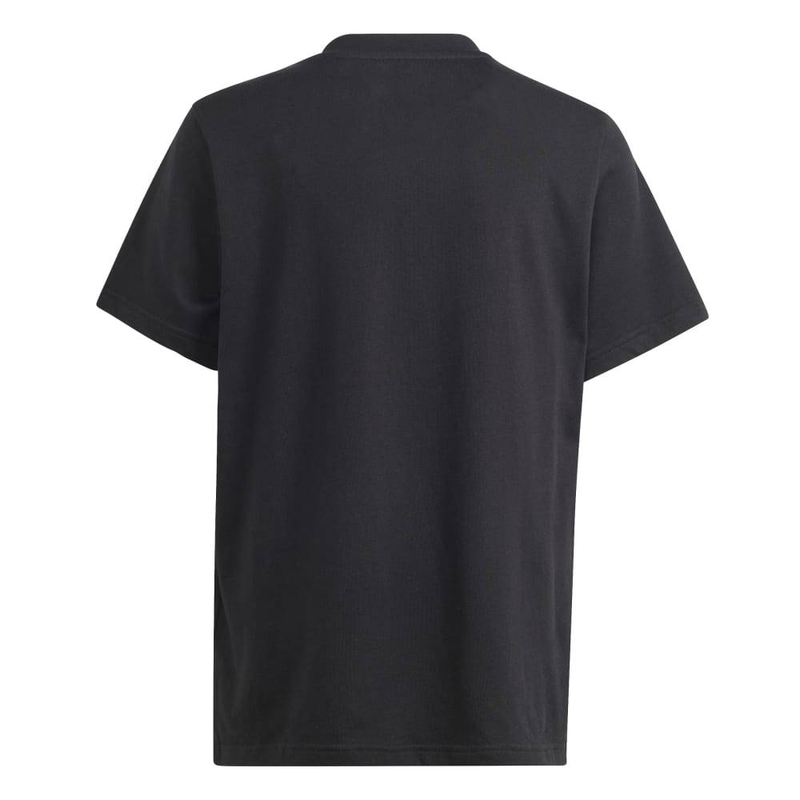 Gfx illustrated-null