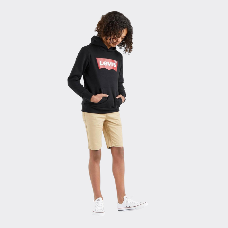 Boys  batwing screenprint hoodie-null