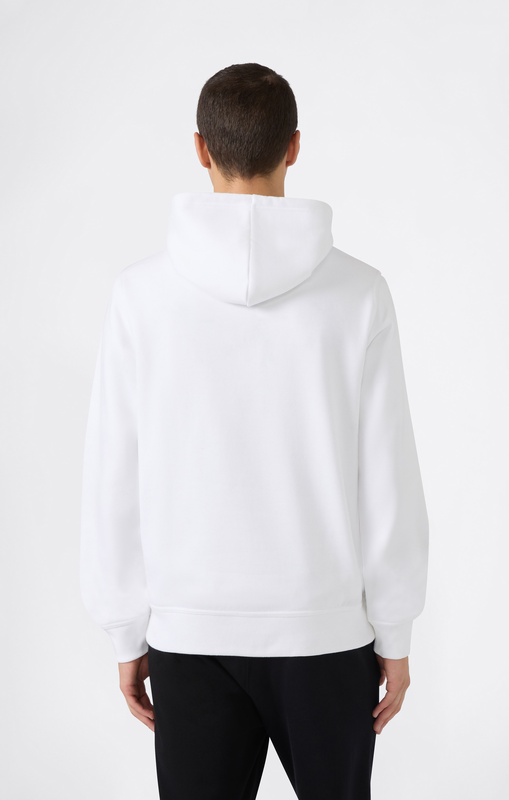 Champion men's hooded sweatshirt-null