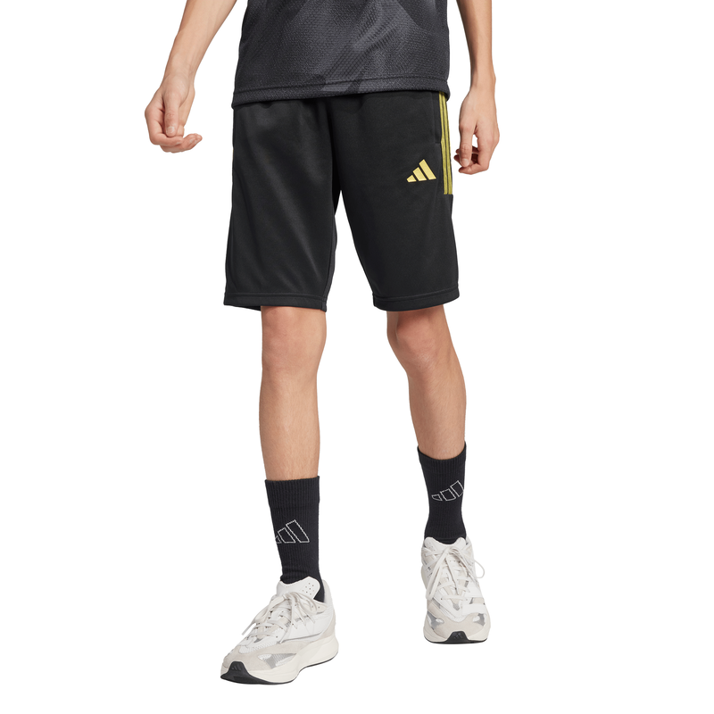Adidas boy's house of tiro colors of football shorts kids-null