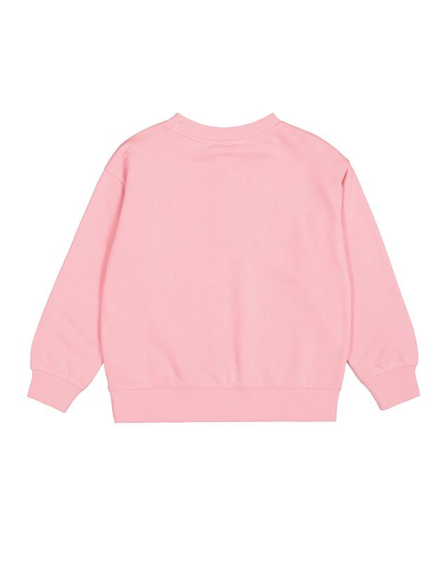 Champion girls crewneck sweatshirt-null