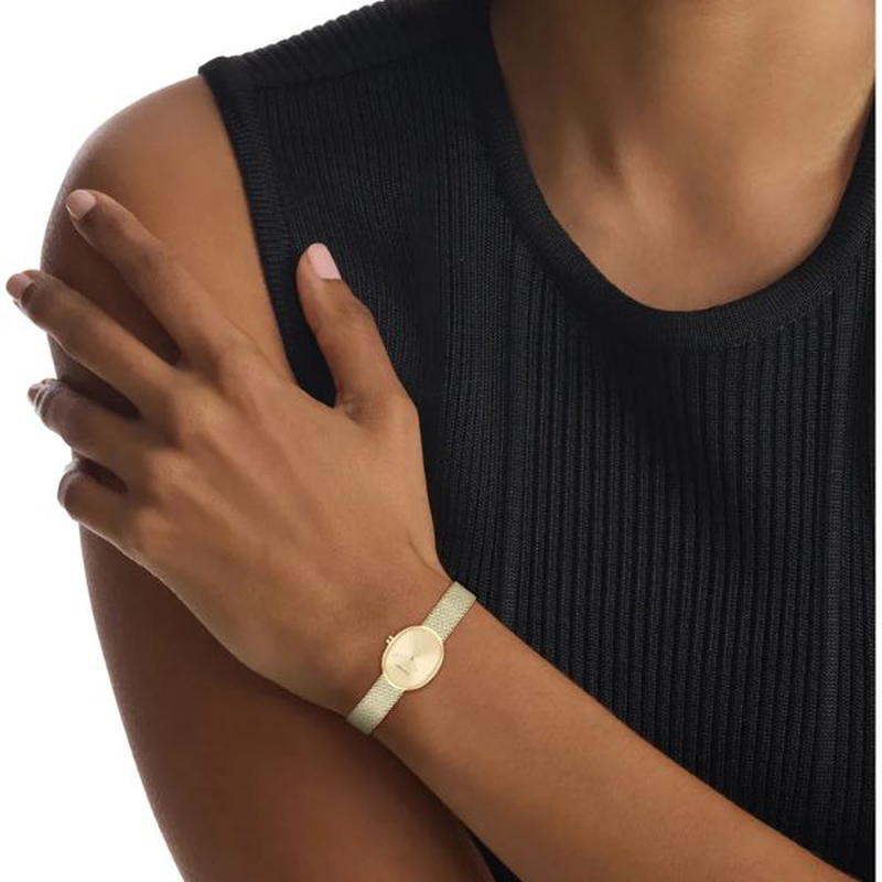 Calvin Klein euphoria watch-null