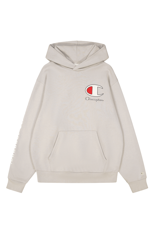 Champion rochester men hooded sweatshirt-null