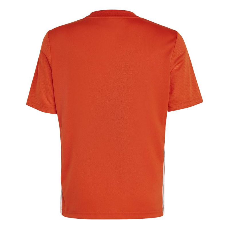 Tabela 23 jersey y image number null
