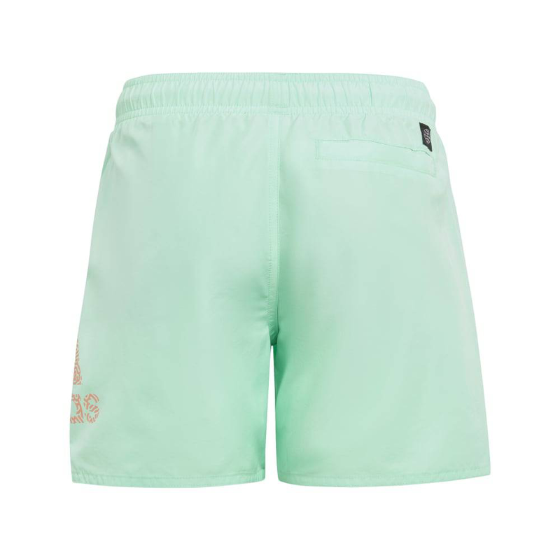 Product image: Bos clx sl-null