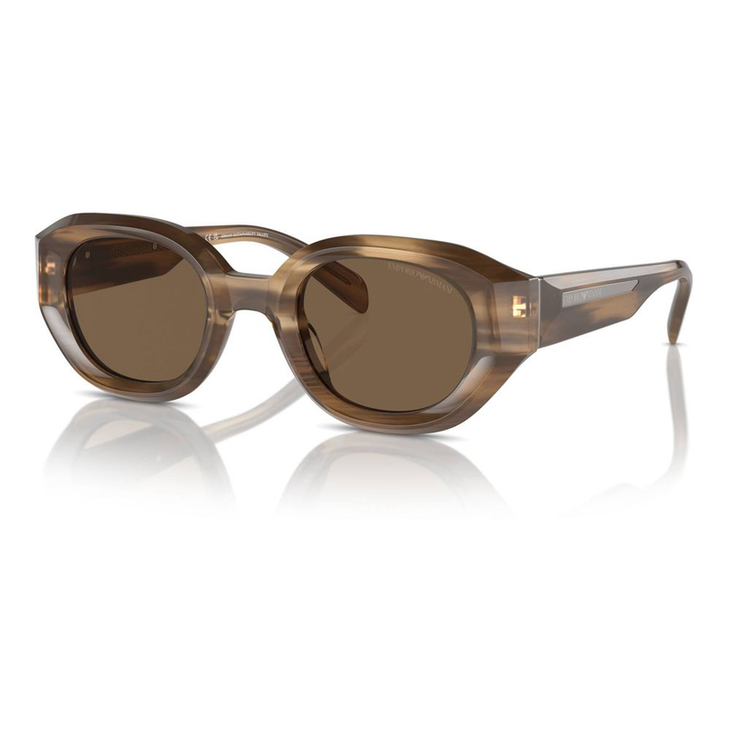 Brown acetate sunglasses-null