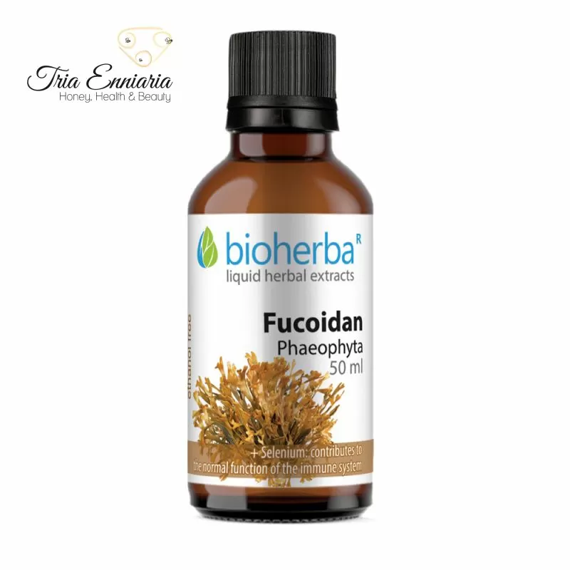 Product image: Fucoidan tincture, 50 ml, bioherba, , medium-null