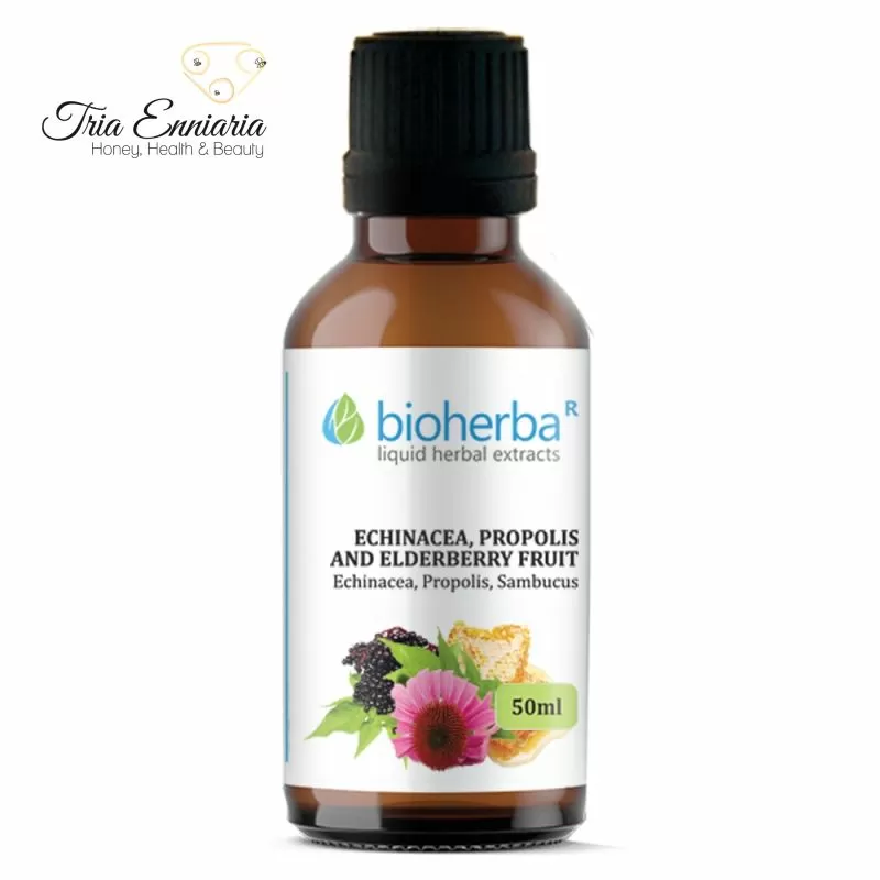 Echinacea, propolis and elderberry tincture, 50 ml, bioherba, , medium-null