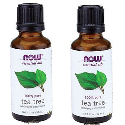 Now foods tea tree essential oil 30ml, , medium