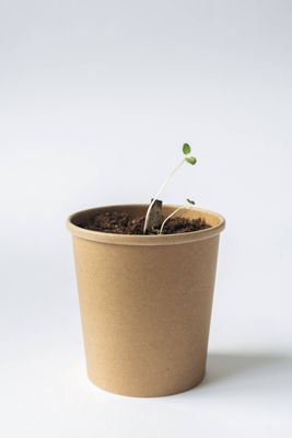 Christmas herbal tea blend - drink it, plant it, , medium