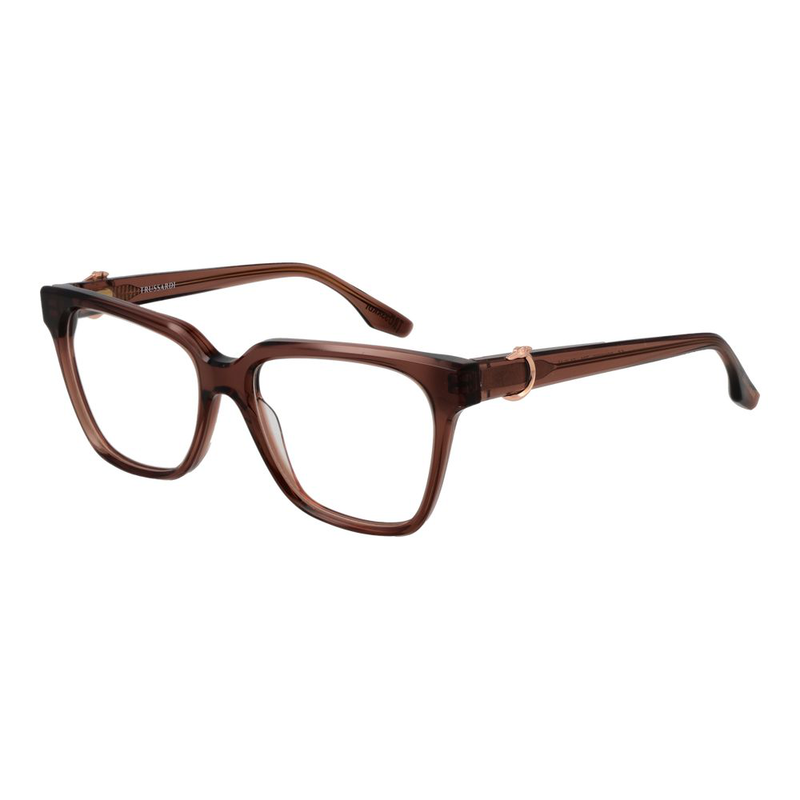 Brown acetate glasses (frames)-null