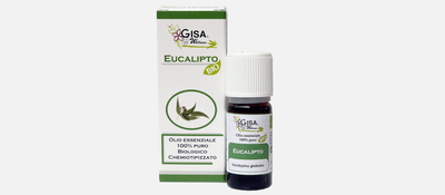 Gisa wellness - eucalyptus bio (eucalyptus globulus), , medium