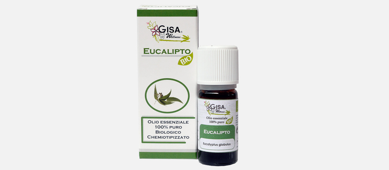 Product image: Gisa wellness - eucalyptus bio (eucalyptus globulus)-null