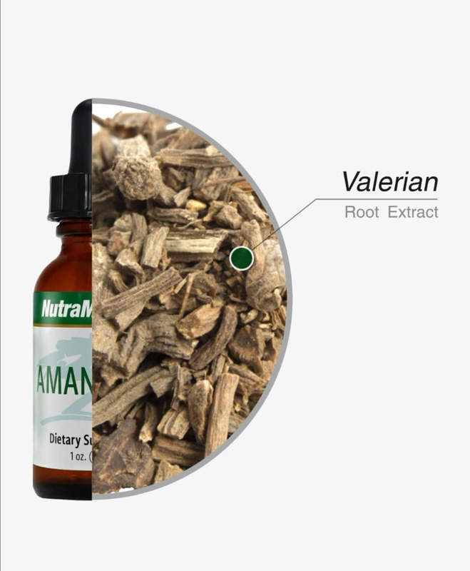 Product image: Nutramedix, amantilla - relax / sleep, , medium-null