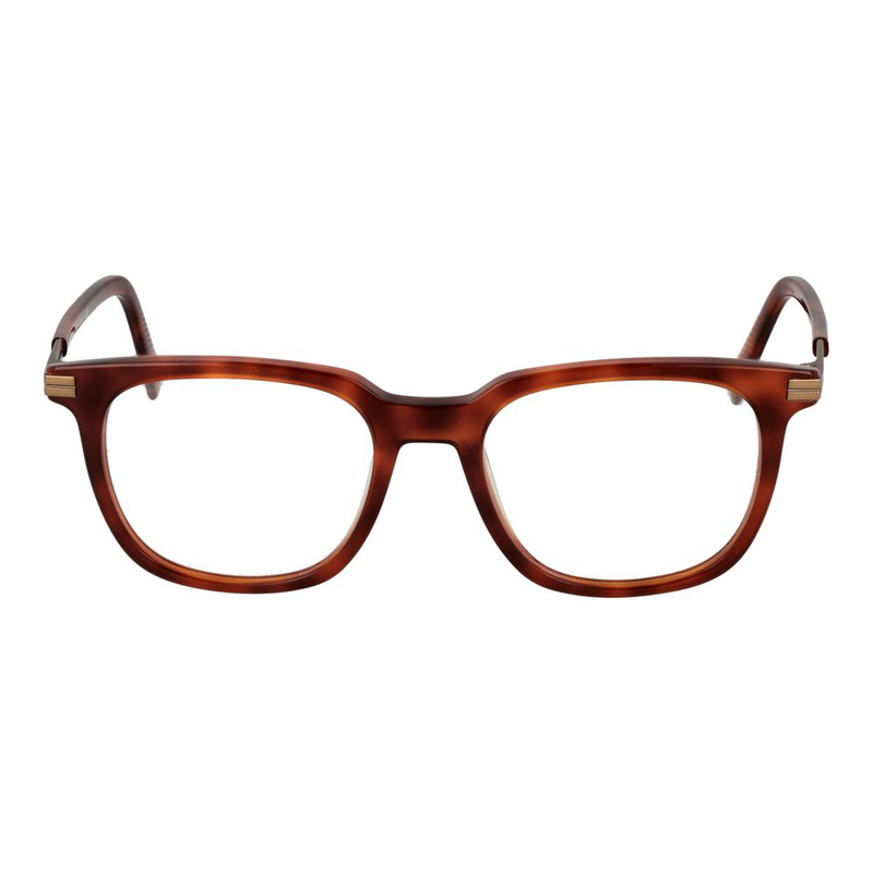 Brown acetate glasses (frames)-null