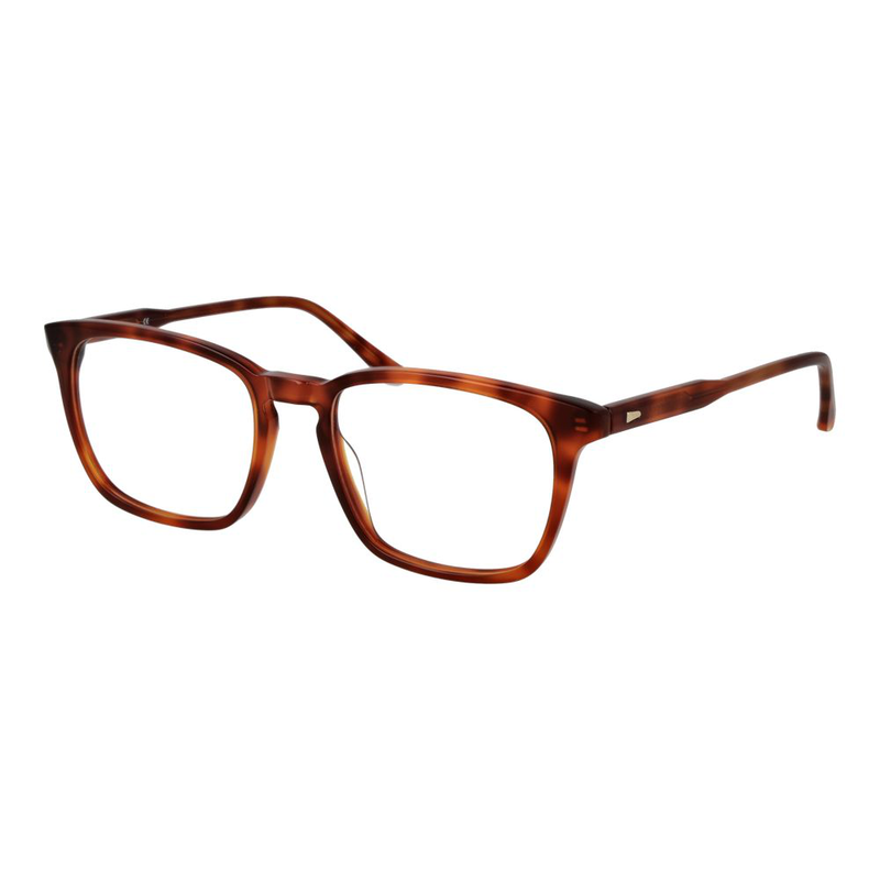Brown acetate glasses (frames)-null