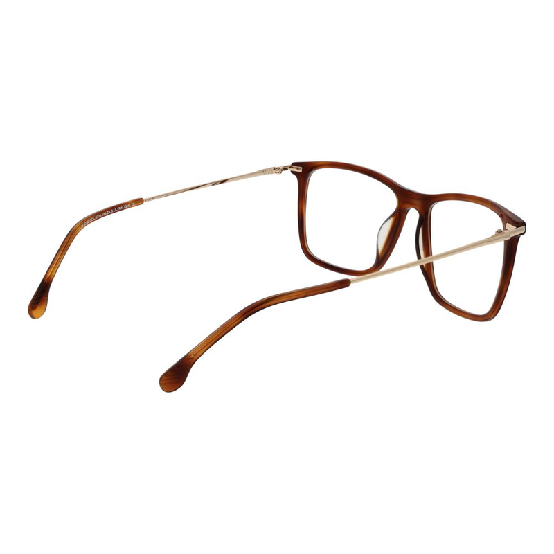 Brown metal glasses (frames)-null