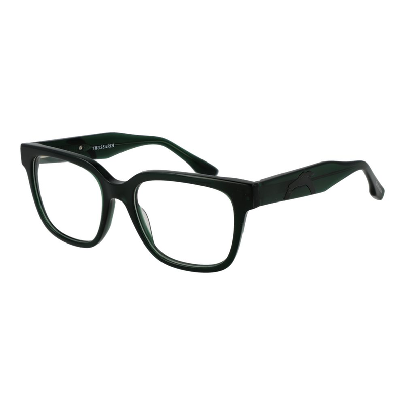 Bicolor acetate glasses (frames)-null
