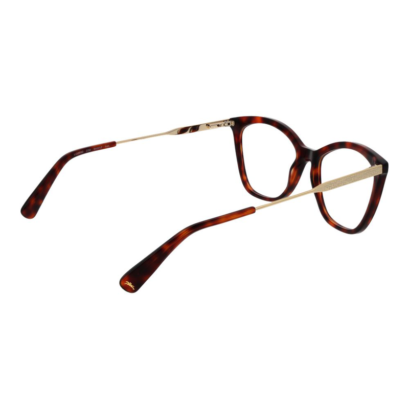 Brown metal & plastic glasses (frames)-null