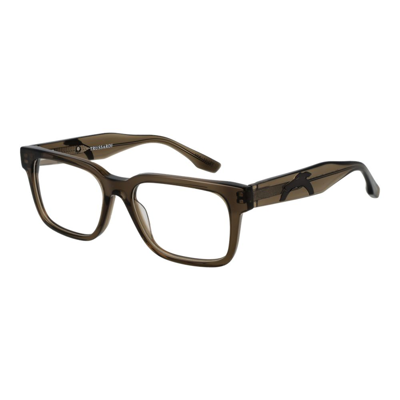Brown acetate glasses (frames)-null