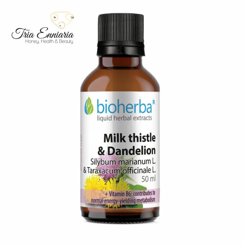 Milk thistle and dandelion tincture, 50 ml, bioherba, , medium-null