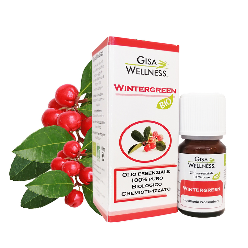 Product image: Gisa wellness - wintergreen (gaultheria procumbens),essential oil , 10ml, , medium-null