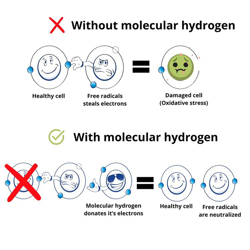 Nord, hydrogen water bottle, horizon black, 5000 ppb, 280ml, , medium-null