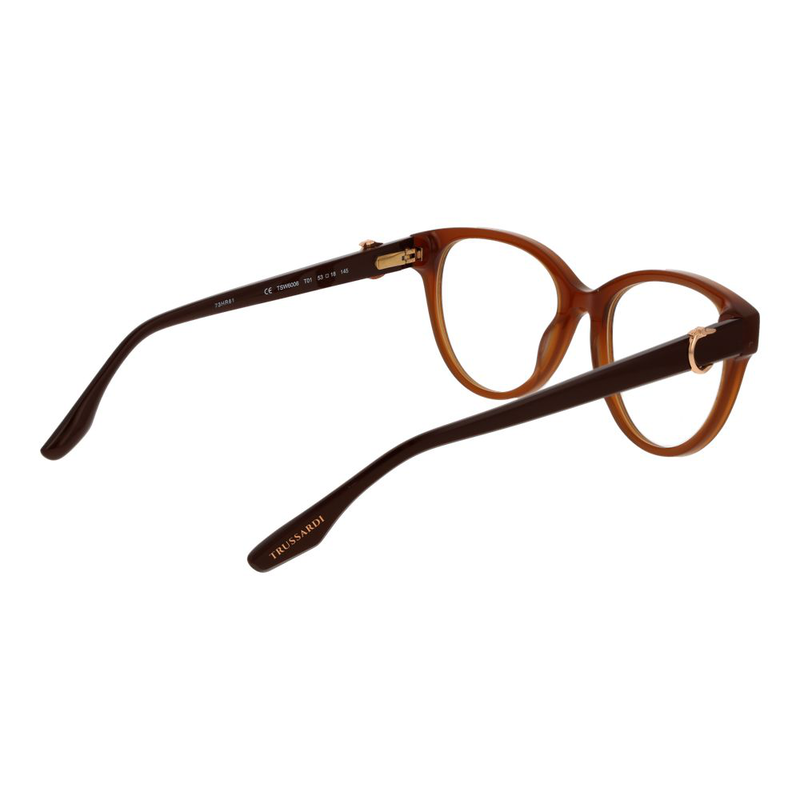 Brown acetate glasses (frames)-null