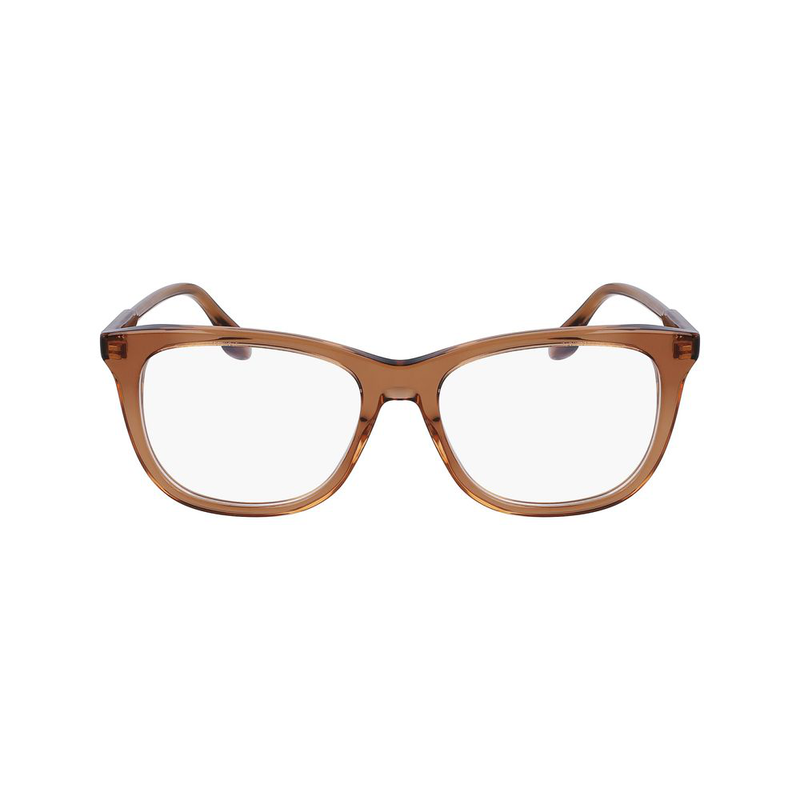 Brown acetate glasses (frames)-null