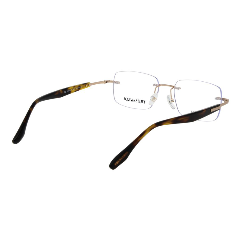Gold stainless steel glasses (frames)-null