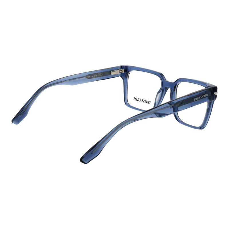 Blue acetate glasses (frames)-null