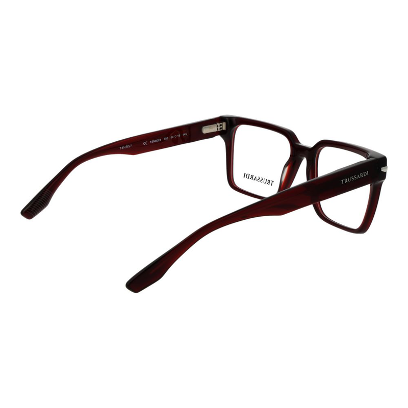 Burgundy acetate glasses (frames)-null